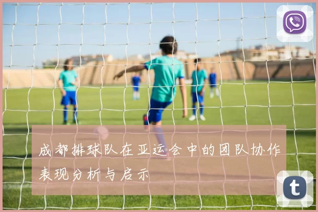 成都排球队在亚运会中的团队协作表现分析与启示