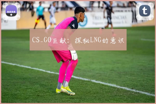 CS_GO巨献：探秘LNG的意识