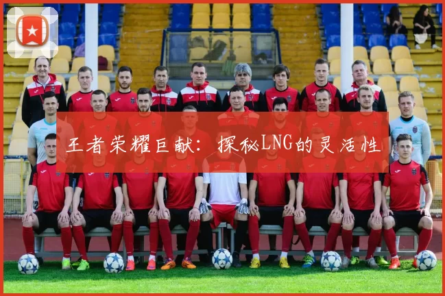 王者荣耀巨献：探秘LNG的灵活性