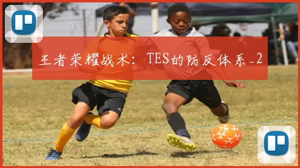 王者荣耀战术：TES的防反体系_2