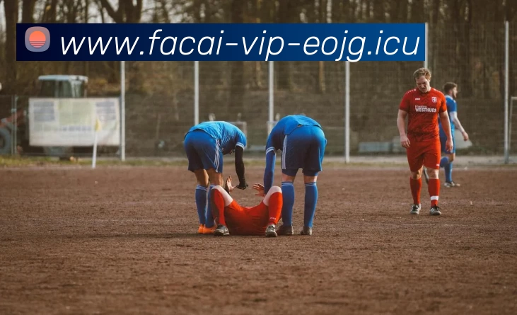 九游体育品牌故事